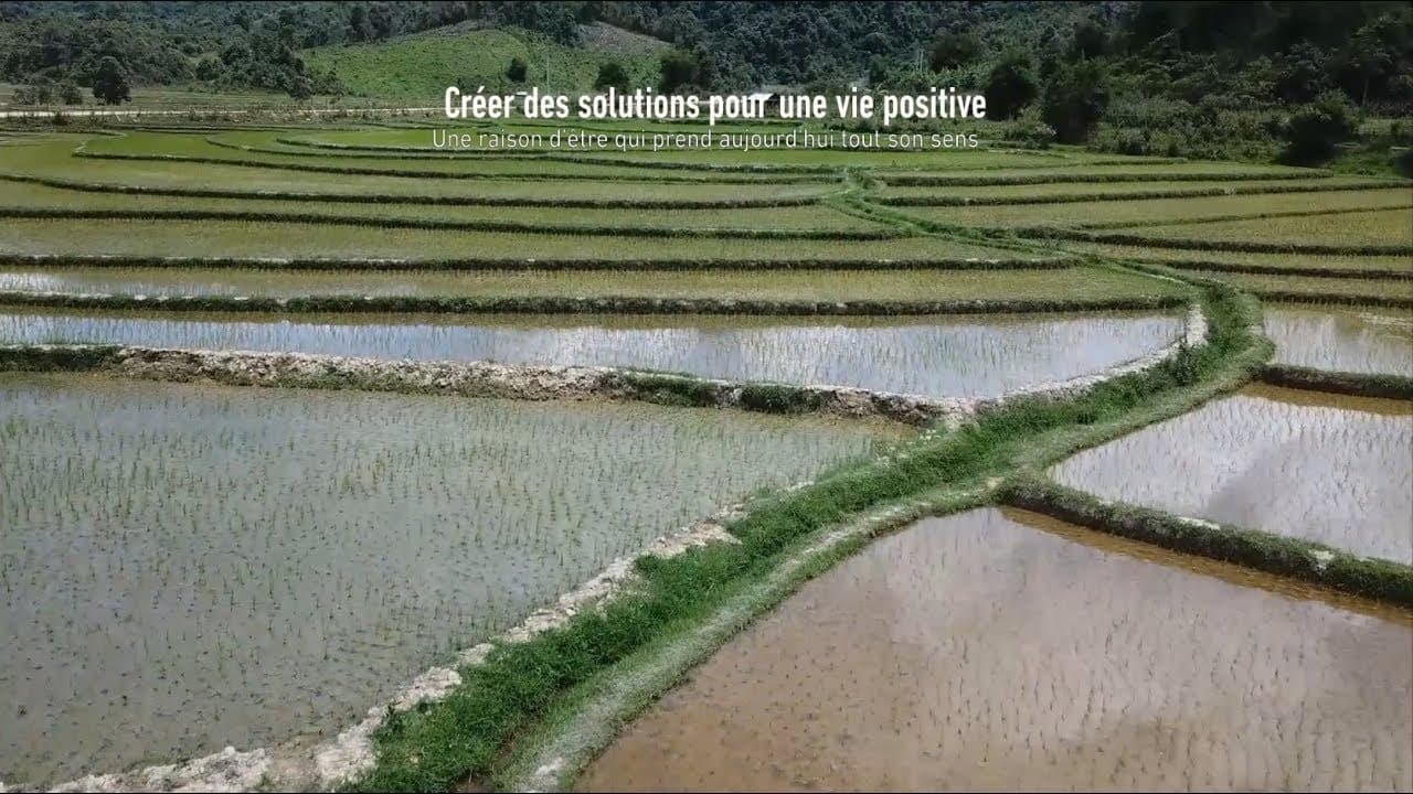 Image de prévisualisation de la vidéo