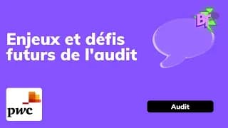 PwC france et Magrheb et l'audit: quel défis, quel futur ?  - The Big Talk Secteur