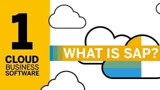 What Is SAP?