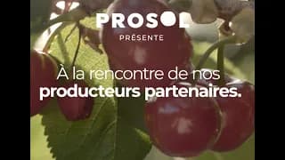 A la rencontre de nos producteurs - La cerise de Venasque